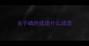 关于嶙的成语什么成语
