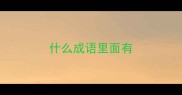 什么成语里面有