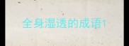 全身湿透的成语