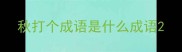 秋打个成语是什么成语