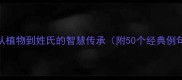 叶字成语全从植物到姓氏的智慧传承附50个经典例句及学习指南