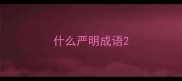 什么严明成语
