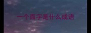 一个面字是什么成语