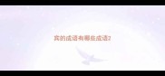 宾的成语有哪些成语