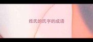 姓氏的氏字的成语