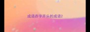成语赤字开头的成语