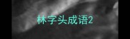 林字头成语