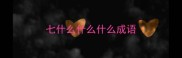 七什么什么什么成语
