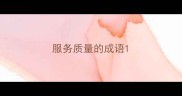 服务质量的成语