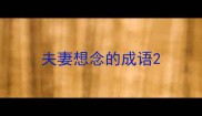 夫妻想念的成语