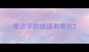 带点字的成语有哪些