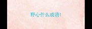 野心什么成语