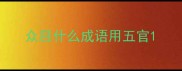 众目什么成语用五官