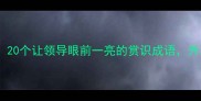 职场高情商必备20个让领导眼前一亮的赏识成语升职加薪快人一步