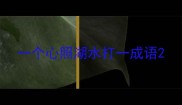 一个心照湖水打一成语