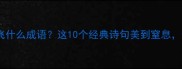 什么花飞什么成语这10个经典诗句美到窒息速存