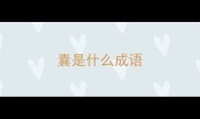 囊是什么成语