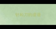 针和刀的成语
