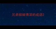 兄弟姐妹情深的成语