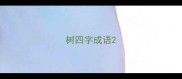 树四字成语