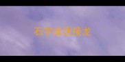 石字成语接龙