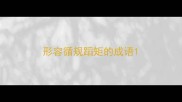 形容循规蹈矩的成语