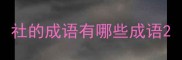 社的成语有哪些成语