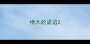 模木的成语