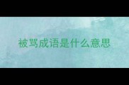 被骂成语是什么意思
