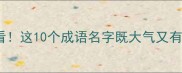 取名字必看这10个成语名字既大气又有文化内涵