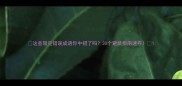 这些常见错误成语你中招了吗30个避坑指南速存