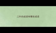 二叶的成语有哪些成语