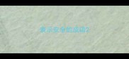 表示安全的成语