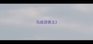 马成语褒义