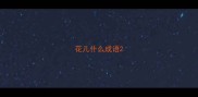 花儿什么成语