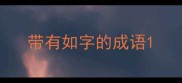 带有如字的成语