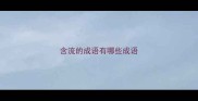 含流的成语有哪些成语