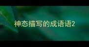 神态描写的成语语