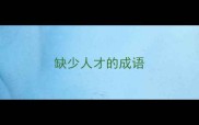 缺少人才的成语