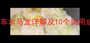 带车字的成语推荐车水马龙详解及10个实用成语附搜索数据