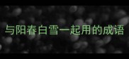与阳春白雪一起用的成语