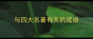 与四大名著有关的成语