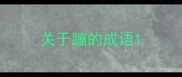 关于蹦的成语
