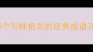家黄蜂成语大10个与蜂相关的经典成语及背后的智慧故事