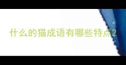 什么的猫成语有哪些特点