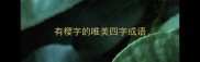 有樱字的唯美四字成语