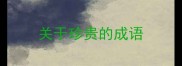 关于珍贵的成语