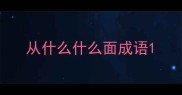 从什么什么面成语
