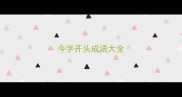 今字开头成语大全