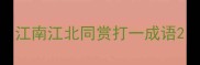 江南江北同赏打一成语